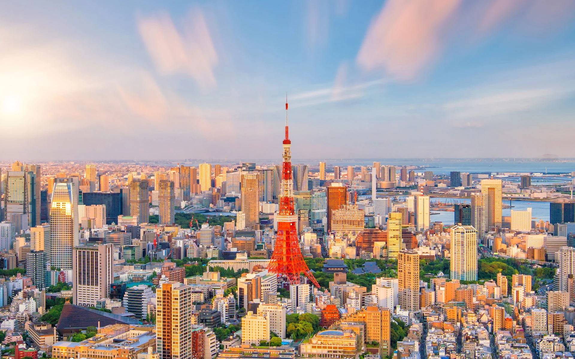 Study In Japan